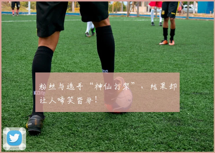 粉丝与选手“神仙打架”，结果却让人啼笑皆非！